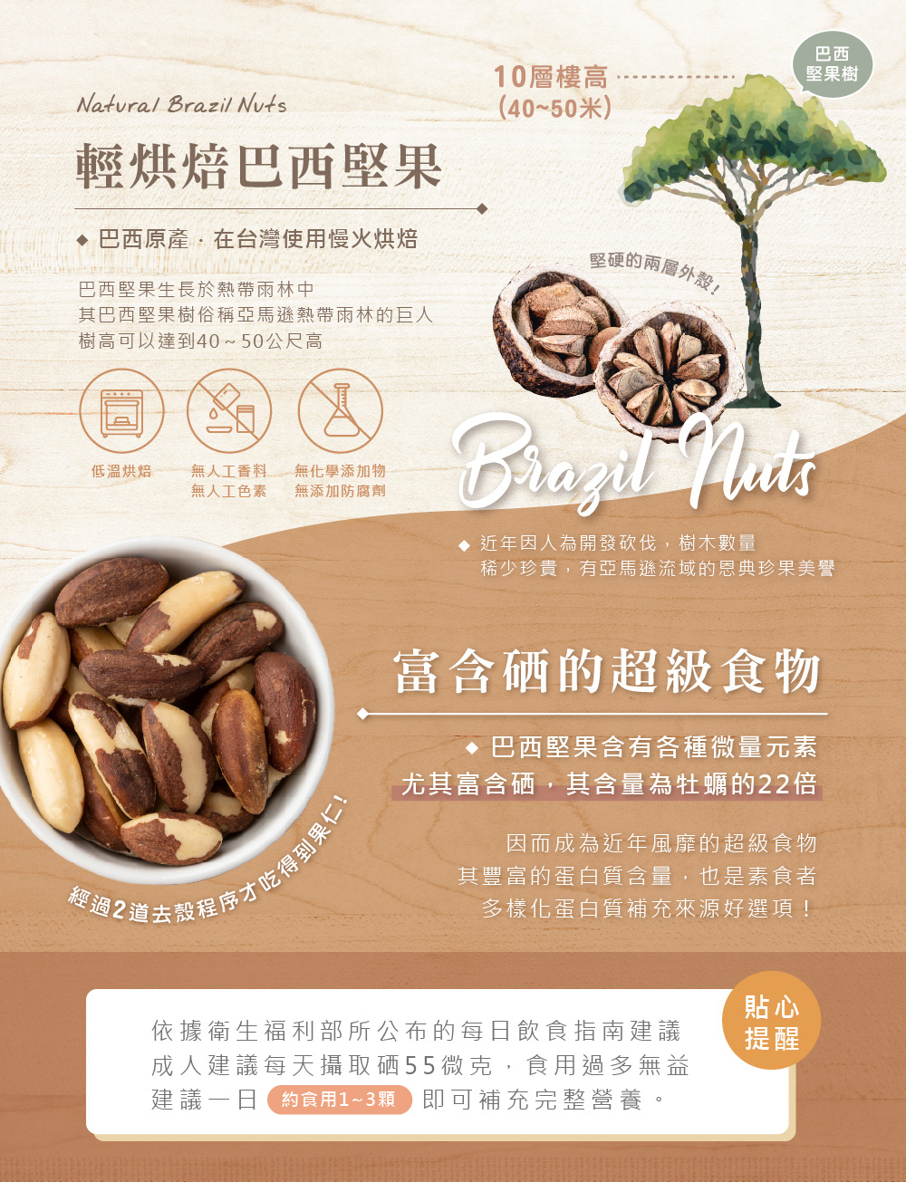 巴西堅果介紹圖04