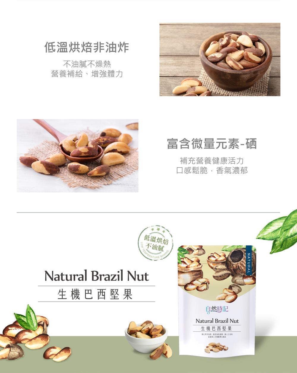 巴西堅果介紹圖03