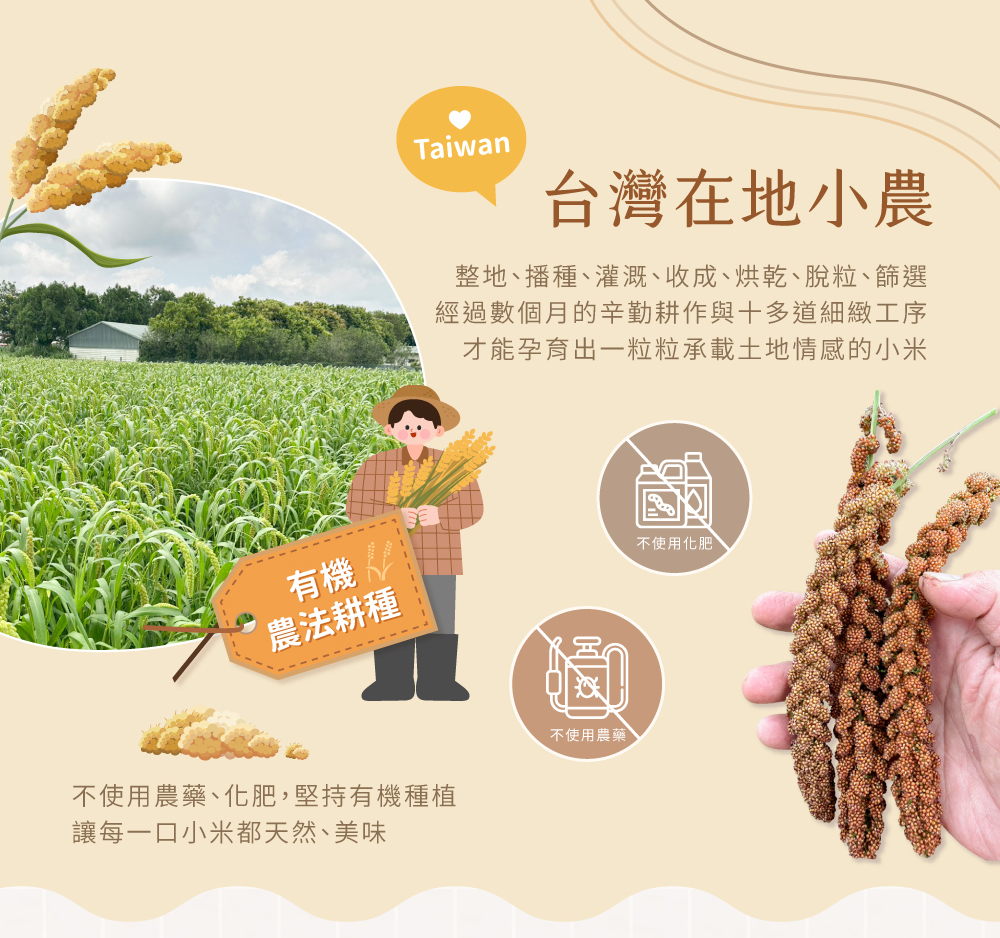 有機小米介紹圖03