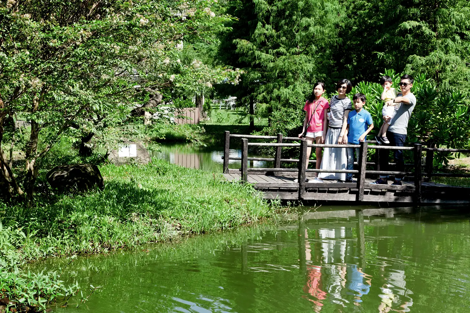 綠意園地 × 輕旅行的舒心時光
