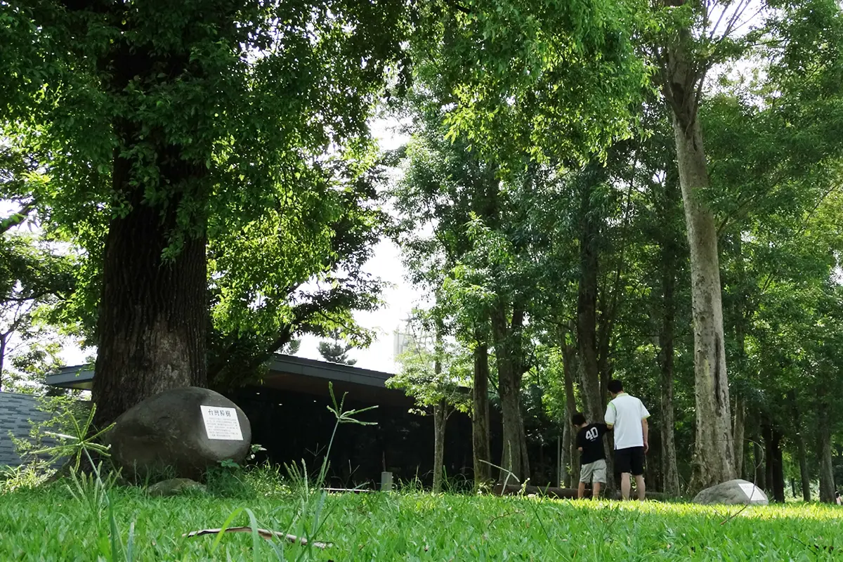 自駕輕鬆抵達說走就走的療癒小旅行！